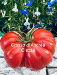 IMG_6244.jpeg