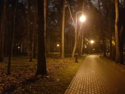 вечер в осеннем парке