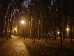 вечер в осеннем парке