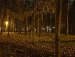 вечер в осеннем парке