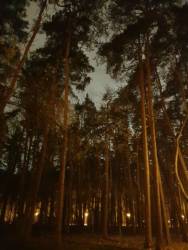 вечер в осеннем парке