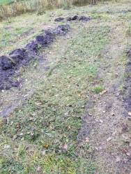 Второй слой травы