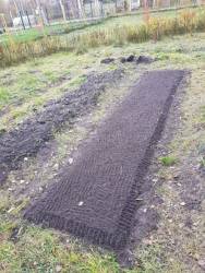 Готовая грядка