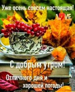 uzhe-osen-sovsem-nastoyashhaya-s-dobrym-utrom-otlichnogo-dnya-i-xoroshej-pogody.jpg