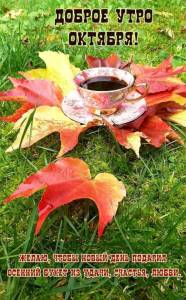 wishpics_ru_6885.jpg