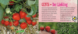 Снимок экрана 2025-11-21 164002.png