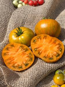 IMG_5217 — крупный размер.jpeg