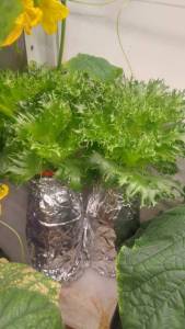 Без имени113.jpg