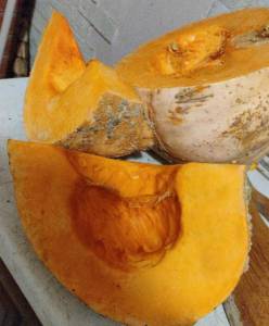 тыква.jpeg