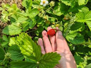 WhatsApp Image 2025-11-10 at 10.13.16.jpeg