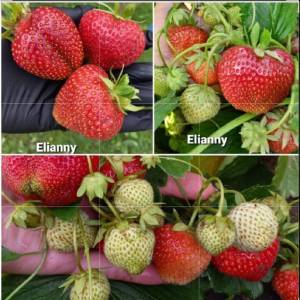 Screenshot_20251117-124935_Photo Editor.jpg