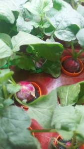 Без имени112.jpg