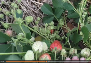 Снимок экрана 2025-11-18 175007.png