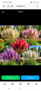 Screenshot_20251118-224030_Yandex Start.jpg