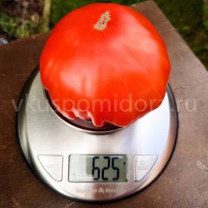 177623604_tomat-syzranskaya-bogota(4)-900x900.thumb.jpg.820e28ed7db9ba88853897803b217836.jpg
