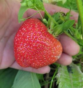 photo_2025-07-02_16-11-50 вима кимберли.jpg