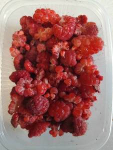 малинка 15.11.jpg