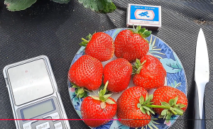 Снимок экрана 2025-11-18 162602.png