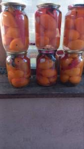 сливка тейси голд.jpg