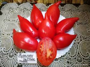 Туфельки султана (от Софии).jpg