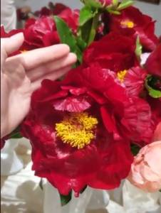 Макинак гранд9.jpg