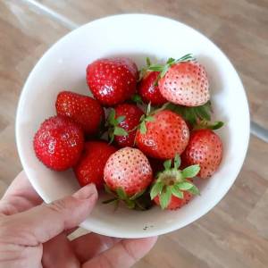 photo_2025-11-16_19-31-59 (2).jpg