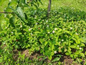 WhatsApp Image 2025-11-10 at 10.13.16 (1).jpeg