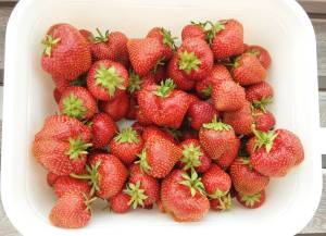 20250705_113436 (1).jpg