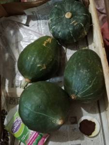 photo_2025-10-31_22-50-44 (2).jpg