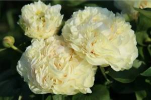 Снимок экрана 2025-11-09 в 12.24.11.jpg