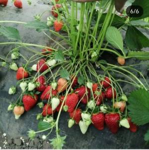 photo_2025-10-23_12-44-26 (2).jpg