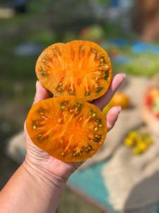 IMG_5229 — крупный размер.jpeg