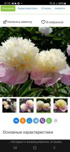 Screenshot_20251113_011524_Yandex Browser.jpg