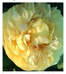 Screenshot_20251021_234048_Yandex Browser.jpg