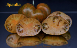 Снимок экрана 2025-11-19 в 09.45.05.png