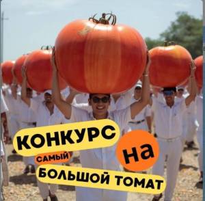 Снимок экрана 2025-11-06 174228.jpg