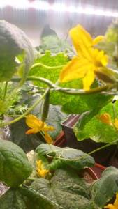 Без имени111.jpg