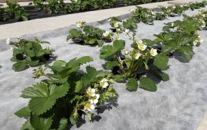 20250524_122411 (1).jpg