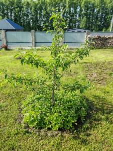 WhatsApp Image 2025-11-10 at 10.13.17.jpeg