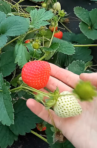 Снимок экрана 2025-11-18 160957.png