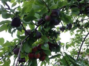 198491_800x600_2018_11b3048179 (1).jpg