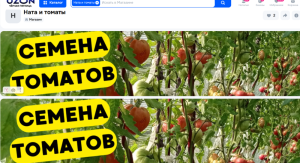 Снимок экрана 2025-11-25 191833.png