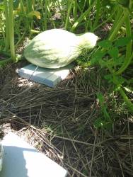 23г Изначальный вид ГБ.jpg