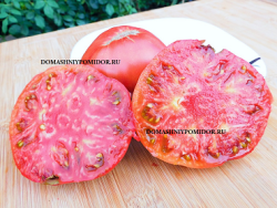 1 не фиолетовая клубника.png