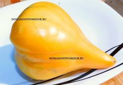 огненный поцелуй оранжевый.jpg