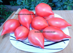 1туфельки султана.png