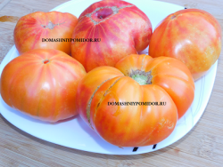 1мистер тарте немецкий.png