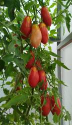 Тегусигальпа