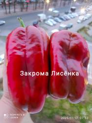 свои Годзиллы в середине ноября