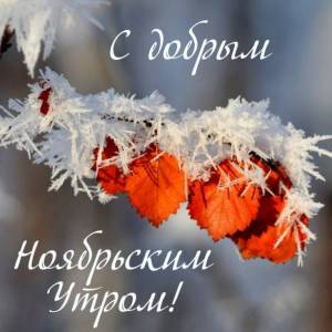 wishpics_ru_6990.jpg